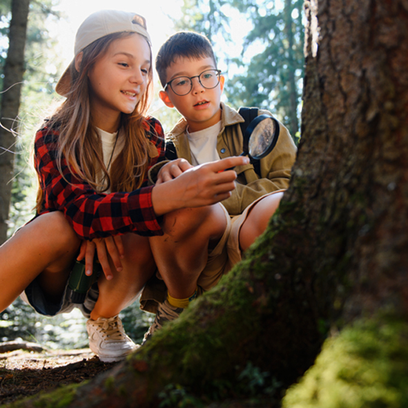 Imagen del campamento