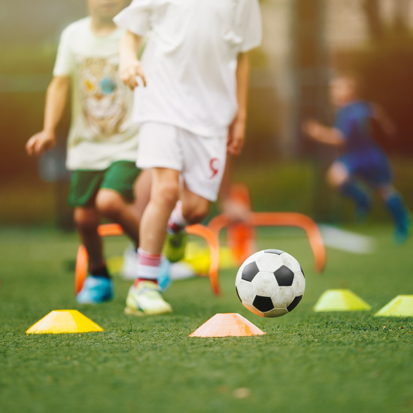 Imagen del campamento